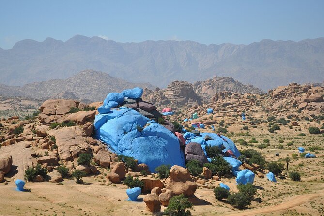Tour Tafraout & Tiznit From Agadir 1 Day - Accessibility Information