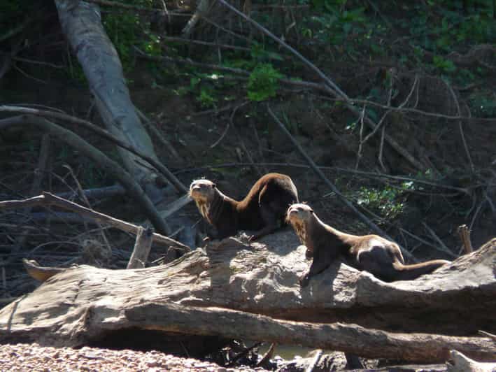 Tour Tambopata 3DAYS + Lodge + Local Food - Reservation Details