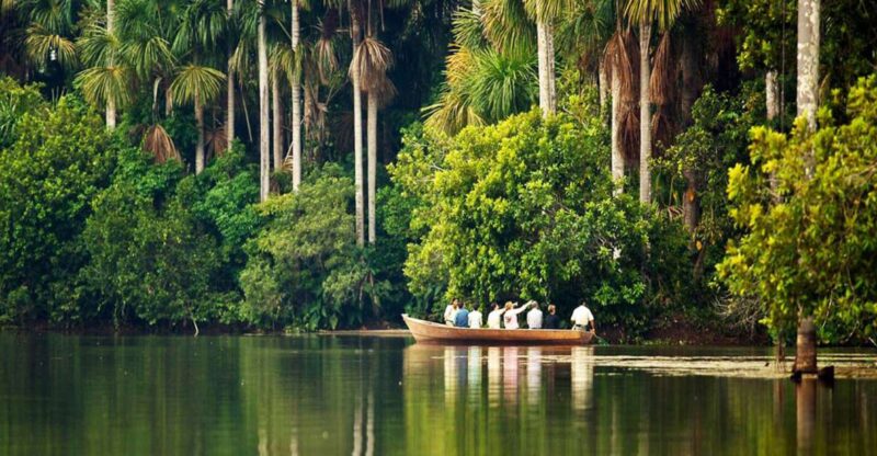 Tour Tambopata Sandoval Lake 2 Days 1 Night - Experience Highlights