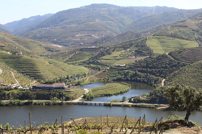 Tour the Douro Wine Region, and Discover the Fantastic Landscape - Worry-free Wine Tastings