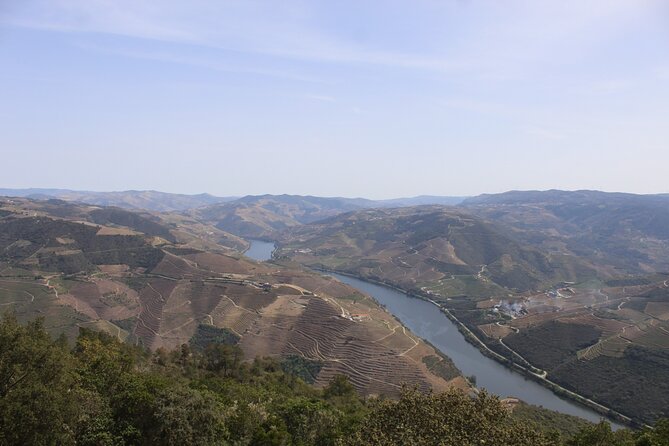 Tour the Douro Wine Region, and Discover the Fantastic Landscape - Relaxation and Natural Beauty