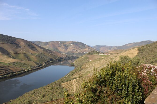 Tour the Douro Wine Region, and Discover the Fantastic Landscape - Product Information and Inquiries