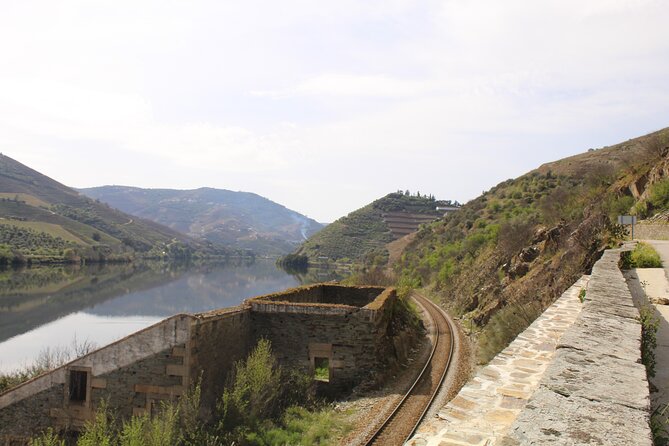 Tour the Douro Wine Region, and Discover the Fantastic Landscape - Traveler Shared Experiences