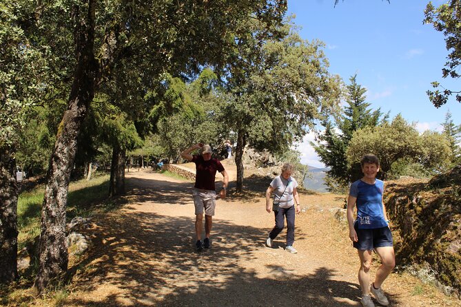 Tour the Douro Wine Region, and Discover the Fantastic Landscape - Pricing and Payment Details