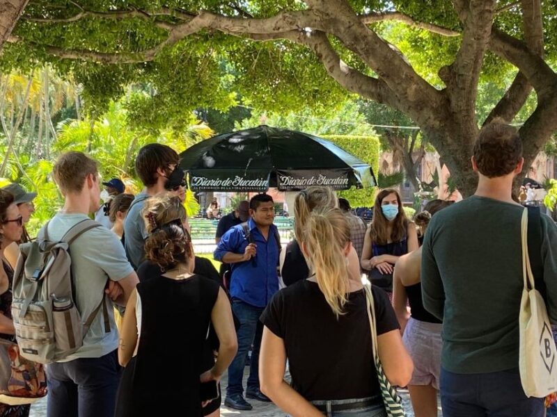 Tour the Great City of Mérida, Yucatán - Meeting Point and What to Bring