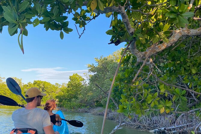 Tour the Mangroves in Kayak by Isla Holbox - Schedule and Pickup