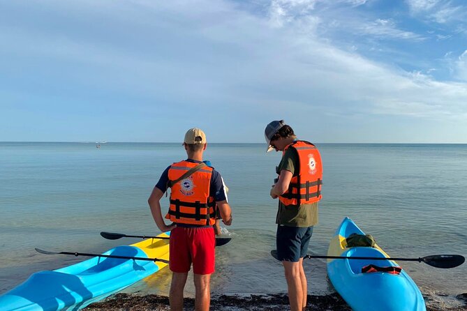 Tour the Mangroves in Kayak by Isla Holbox - Experience Highlights