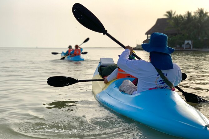 Tour the Mangroves in Kayak by Isla Holbox - Booking and Cancellation