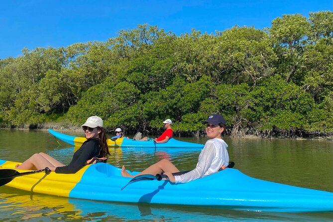 Tour the Mangroves in Kayak by Isla Holbox - Additional Information