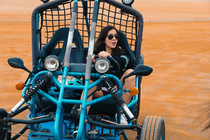 Tour the Paracas National Reserve in a MiniBuggy - Key Points