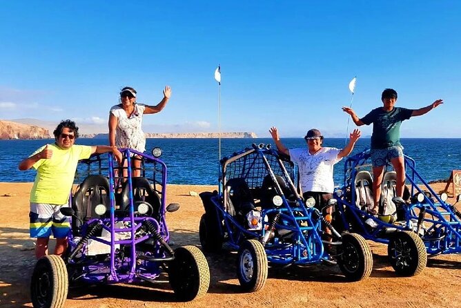 Tour the Paracas National Reserve in a MiniBuggy - MiniBuggy Tour Experience