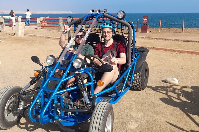 Tour the Paracas National Reserve in a MiniBuggy - Scenic Landscapes and Dunes