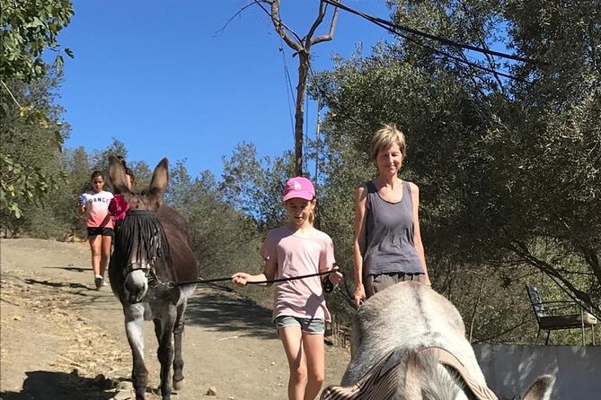 Tour the Sanctuary and Walk With the Donkeys and Share Their Love - Connecting With Rescued Donkeys