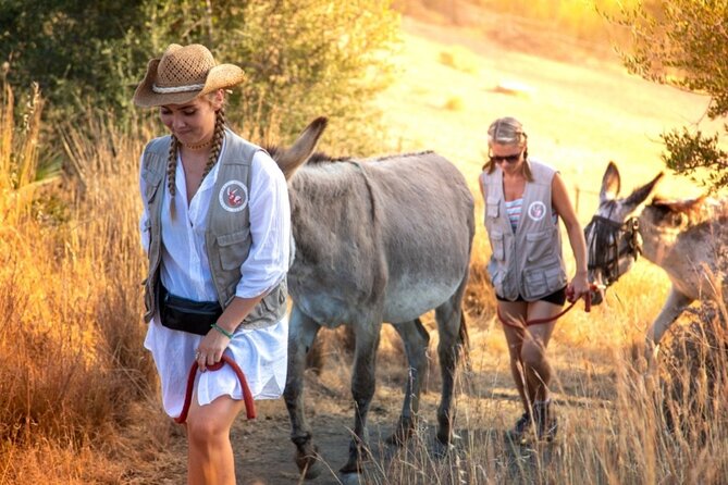 Tour the Sanctuary and Walk With the Donkeys and Share Their Love - Engaging With Caring Volunteers