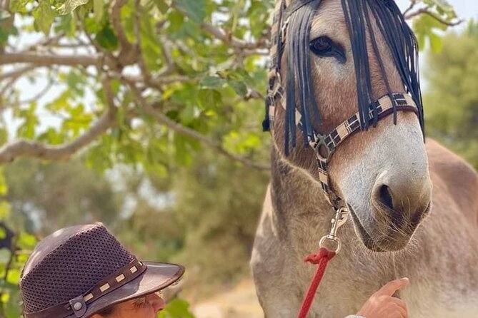 Tour the Sanctuary and Walk With the Donkeys and Share Their Love - Memorable Experience for All Travelers