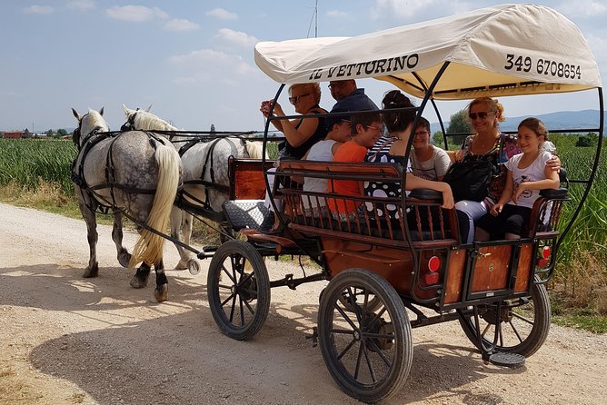 Tour the Wine Route - About Your Stay