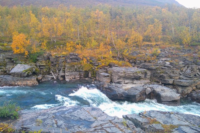 Tour to Abisko National Park - Location and Meeting Point