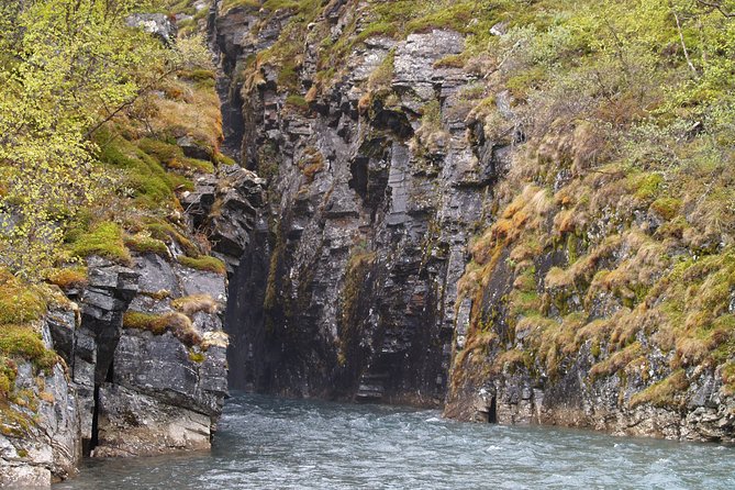 Tour to Abisko National Park - Tour Details and Schedule