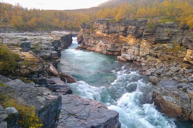Tour to Abisko National Park - Accessibility Information