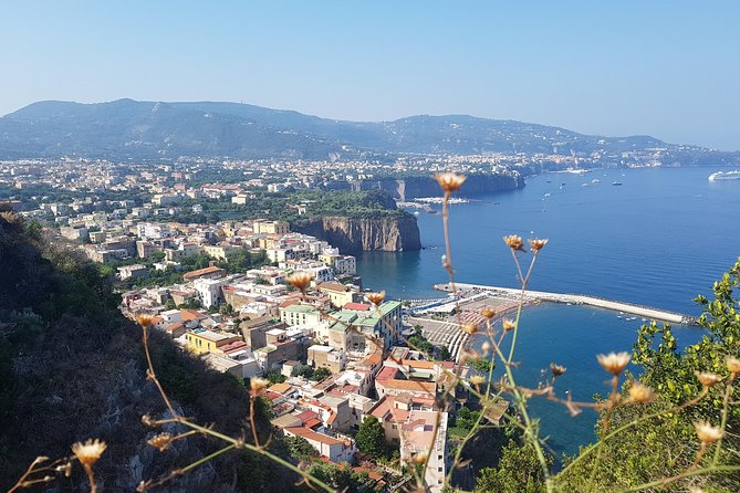Tour to Amalfi, Positano, Sorrento and Ravello, a Full Day From Rome - Included Services and Exclusions