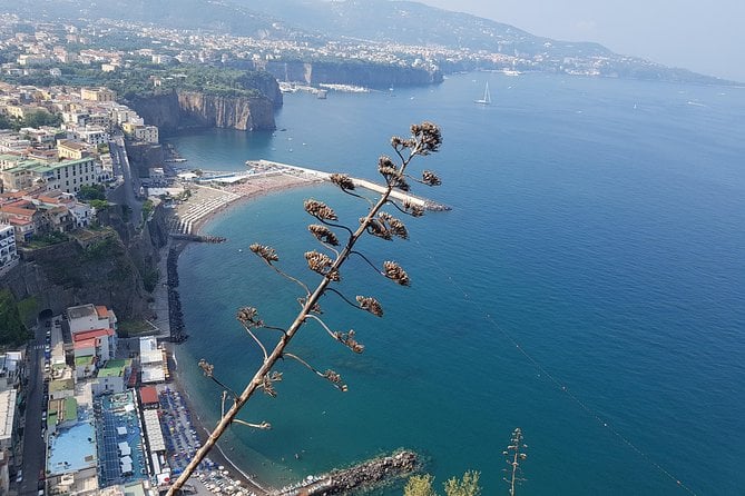 Tour to Amalfi, Positano, Sorrento and Ravello, a Full Day From Rome - Hotel Pickup and Transfers