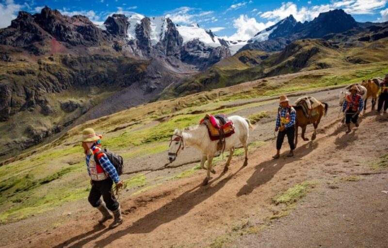 Tour to Arcoiris Mountain Short Route Cusipata + Lunch - Itinerary