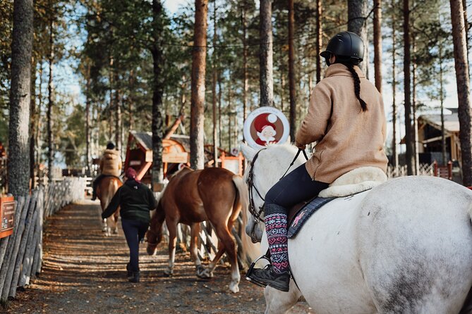 Tour to Aurora Horses Farm With Charming Finnhorses - Customer Reviews