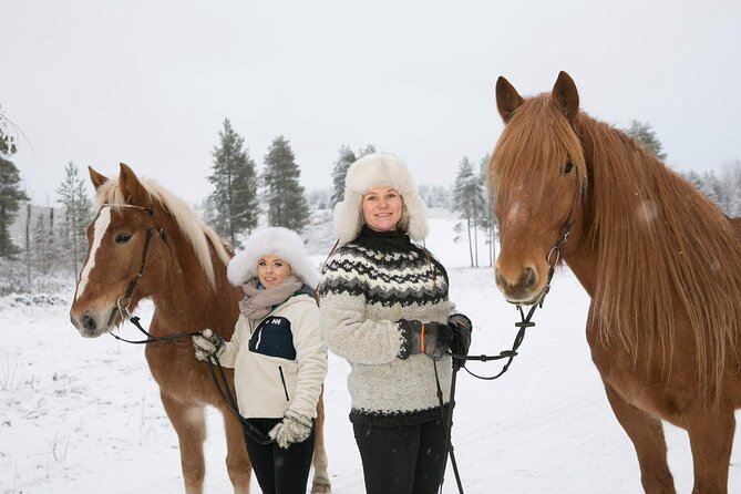 Tour to Aurora Horses Farm With Charming Finnhorses - Exploring the Winter Wonderland