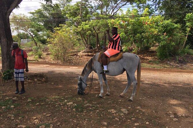 Tour to Blue Hole, Horseback Riding & ATV Adventures - Pickup Information
