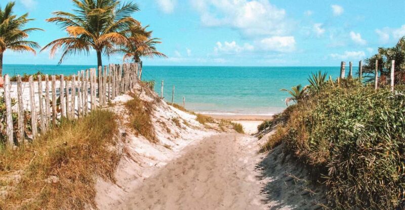 Tour to Caraíva: Beaches and Guides in Porto Seguro - Key Points