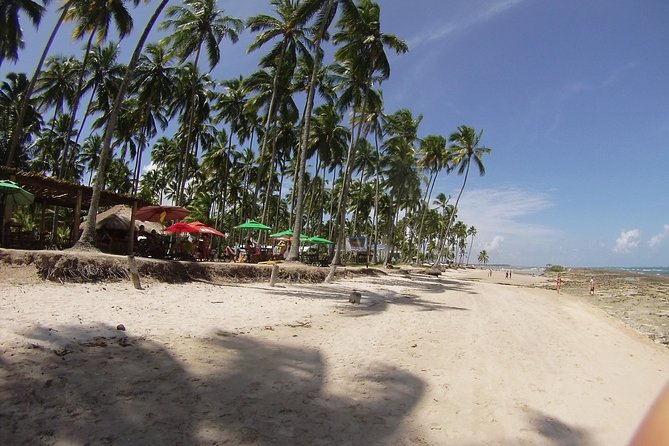 Tour to Carneiros Beach - Itinerary Highlights