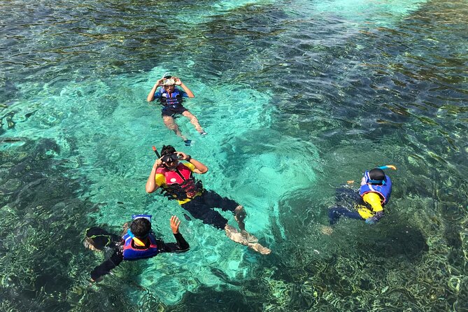 Tour to Catalina Island With Snorkeling From Punta Cana - Pickup and Preparation