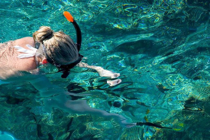 Tour to Catalina Island With Snorkeling From Punta Cana - Participant Guidelines