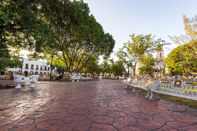 Tour to Chichen Itza, Cenote De Suytun and Valladolid From Merida - Reviews and Feedback