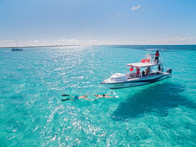 Tour to Cozumel + Heaven - Destination Highlights