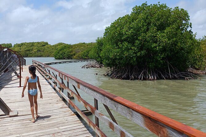 Tour to discover the paradisiacal beaches of the South (Salines) - The Experience in Action