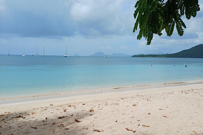 Tour to discover the paradisiacal beaches of the South (Salines) - Who Should Consider This Tour?