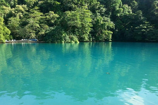 Tour to Fern Gully and Konoko Falls and Park - Visiting Konoko Falls & Park