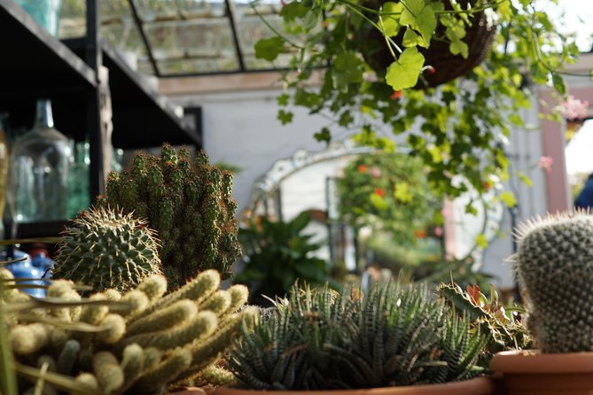 Tour to Gardenia Shevardnadze Flea Market and Tbilisi Old Town - Pricing and Availability