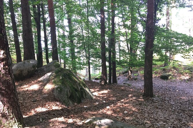 Tour to Gerês in 4x4 Full Day With Option of SUP Tour - Personalized Experiences