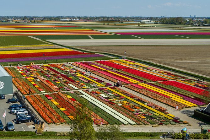 Tour to Giethoorn and Keukenhof Tulip Fields From Amsterdam - Optimal Viewing and Customization