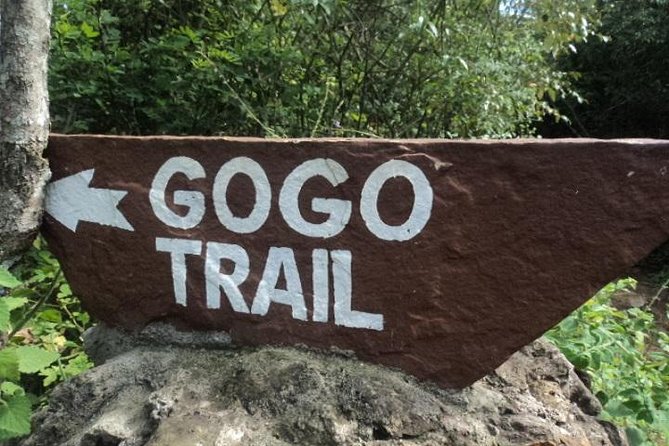 Tour to Giraffe Center From Nairobi - Dining Options