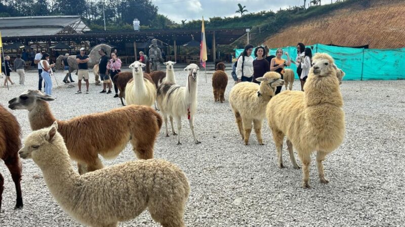Tour to Guatapé With Visit to the Alto Del Chocho Farm - Included in the Tour