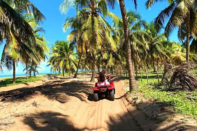 Tour to Gunga Beach + Barra De São Miguel - Reviews and Rating