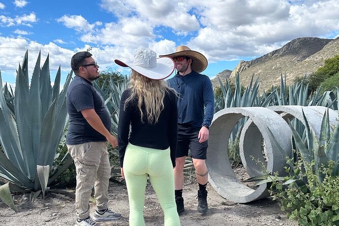 Tour to Hierve El Agua and Mezcal Distillery (Small Groups) - Mezcal Tasting Experiences