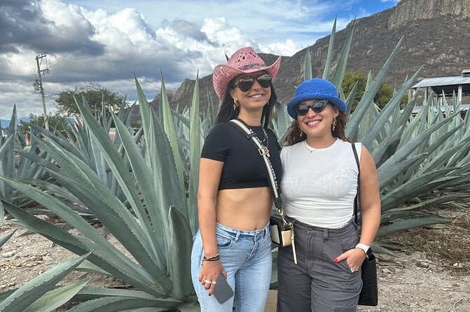 Tour to Hierve El Agua and Mezcal Distillery (Small Groups) - Booking and Availability
