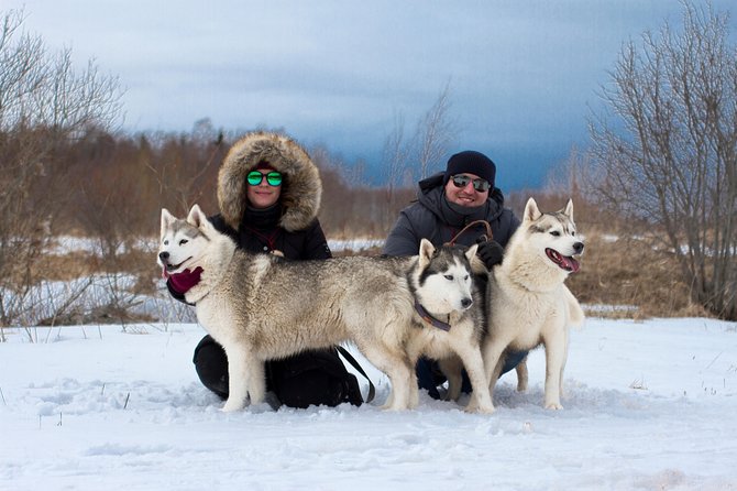 Tour to Husky Park With Cani-Cross Hike - Exploring the Estonian Countryside