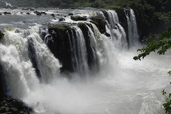 Tour to Iguassu Falls Brazilian Side - Getting to Iguassu National Park