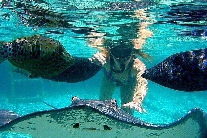 Tour To Johnny Cay Haynes Cay Aquarium And Mnaglares - Highlights of the Tour