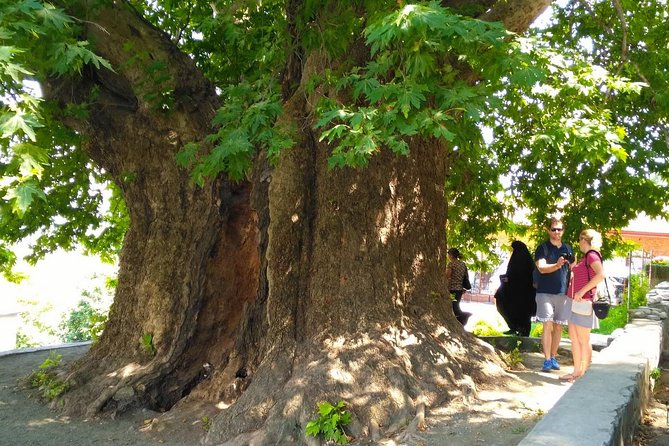 Tour to Kakheti. Sighnaghi – Bodbe Monastery – Tsinandali – Telavi – Winery – Gombori - Telavi: Kakhetis Regional Capital